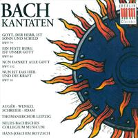 BACH, J.S.: Cantatas - BWV 50, 79, 80, 192 (Rotzsch)