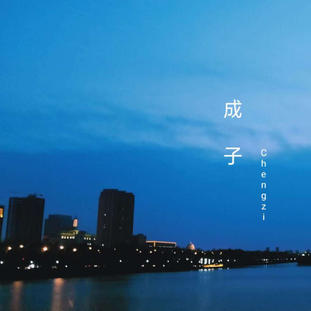 孤独的流浪者封面