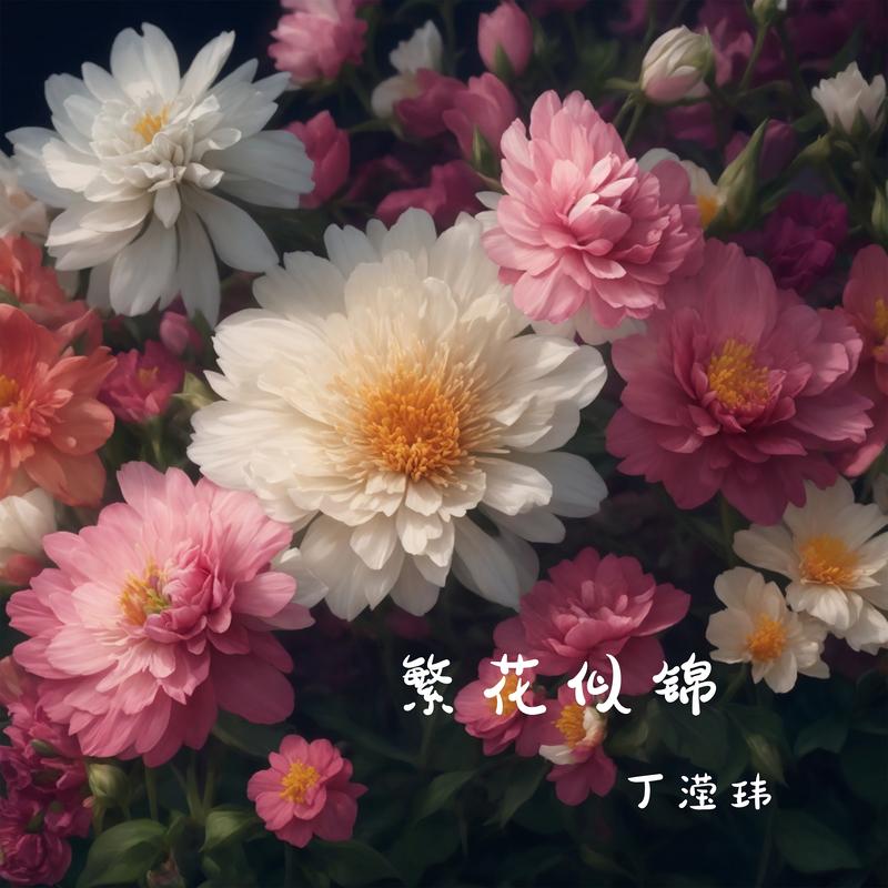 繁花似锦封面