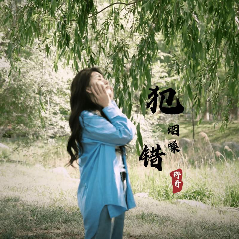 犯错 (DJ版) - 野哥封面