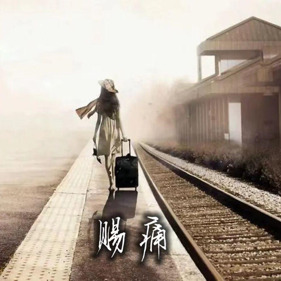 赐痛封面