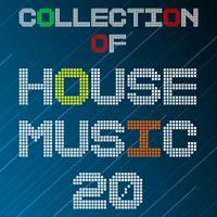 Collection of House Music, Vol. 20