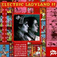 Electric Ladyland II