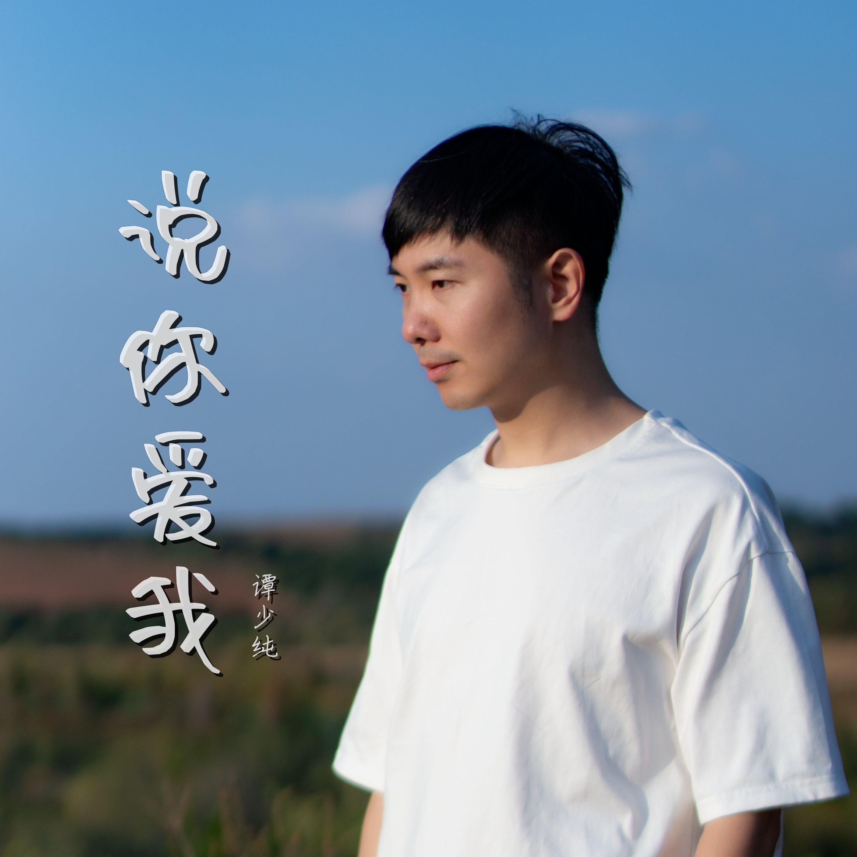 说你爱我 伴奏封面