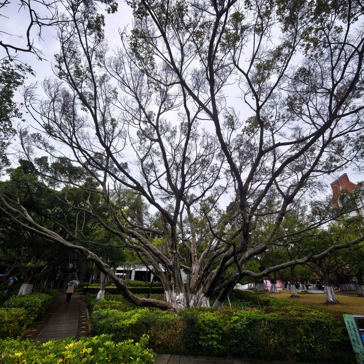 今生啊，莫要回头