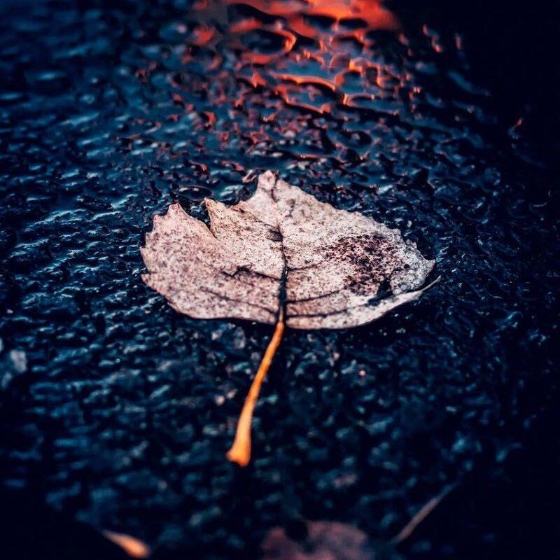 假若当初是另一个我 和你遇见_秋石Autumn.ST_假若当初是另一个我 和你遇见 | 在线播放_假若当初是另一个我 和你遇见歌词_假若当初是另一个我 和你遇见下载 | 网易云音乐