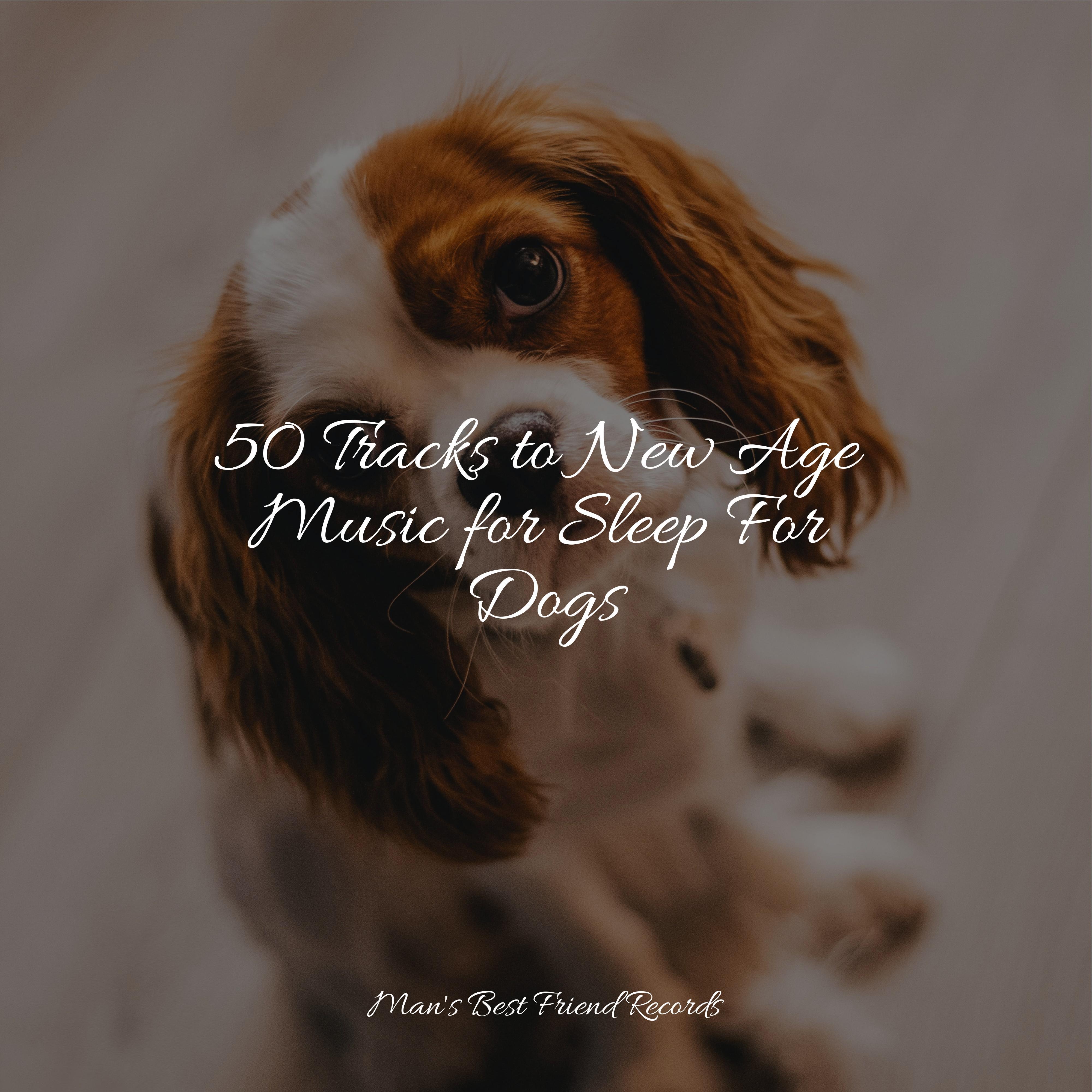 elixir-of-life-sleeping-music-for-dogs-sleep-music-for-dogs-dog-music