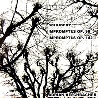 Schubert Impromptus Op. 90