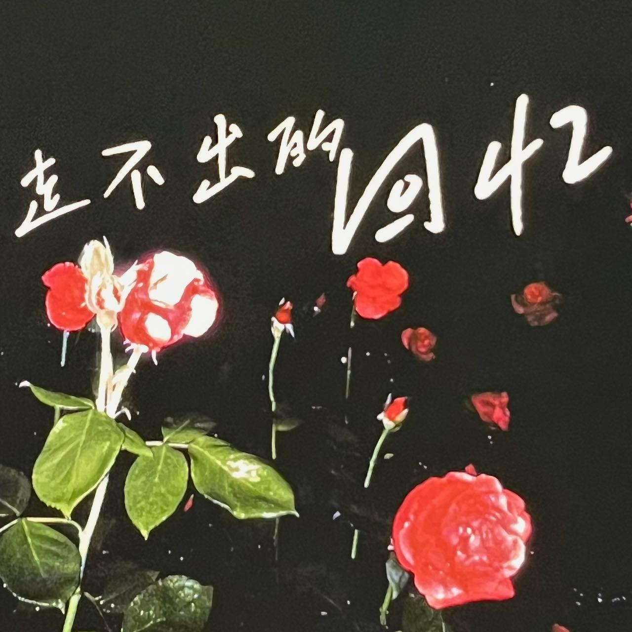 走不出的回忆封面
