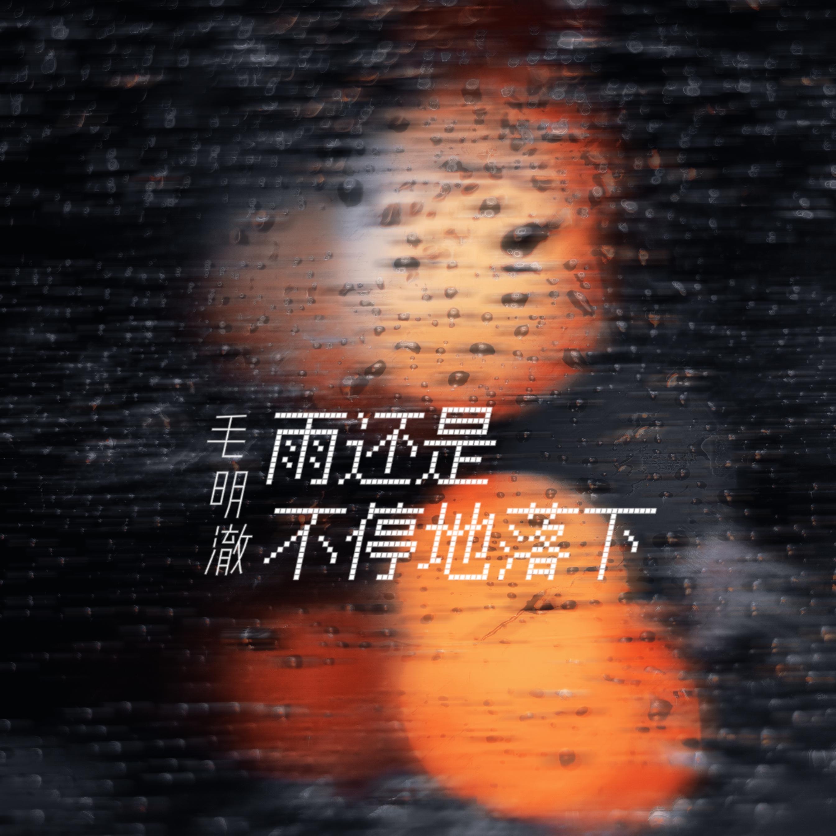 雨还是不停地落下封面