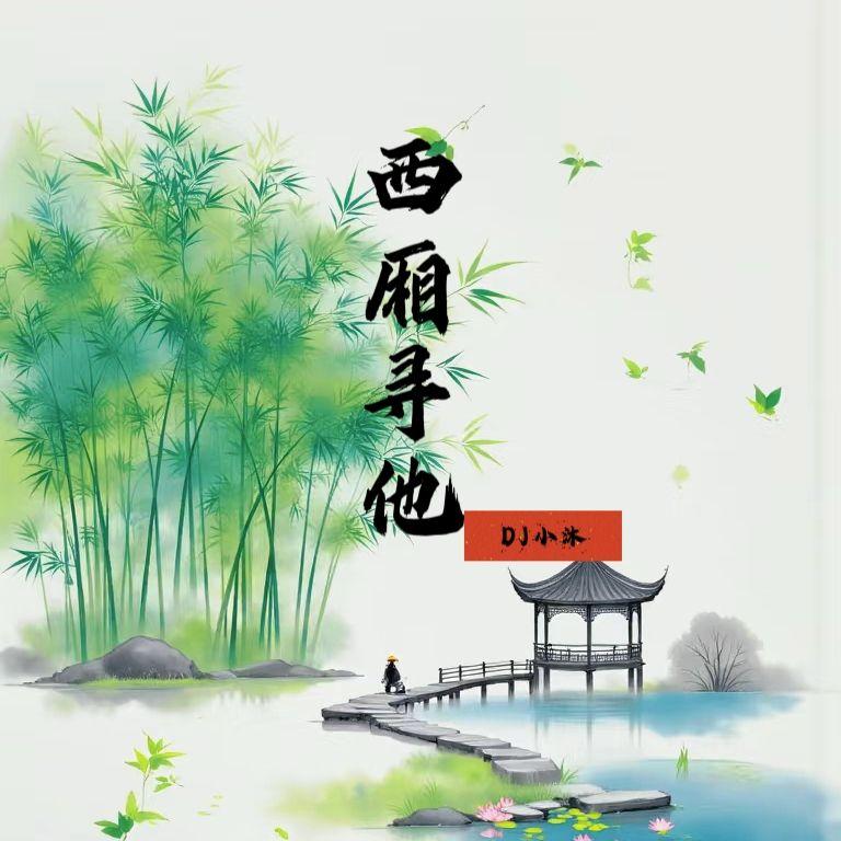 西厢寻他 (DJ版) - DJ小沐封面