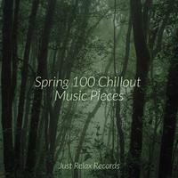 Spring 100 Chillout Music Pieces