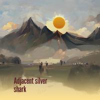 Adjacent Silver Shark