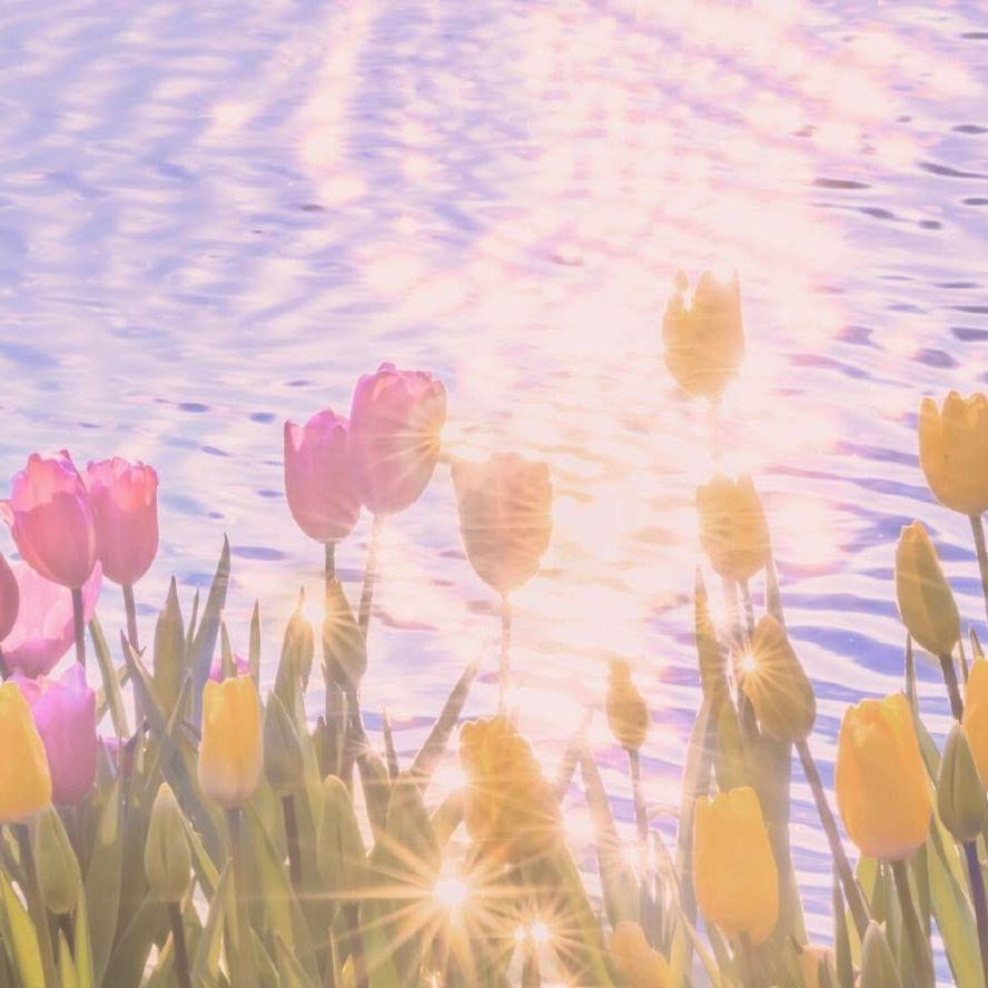 迷宫（女声版）