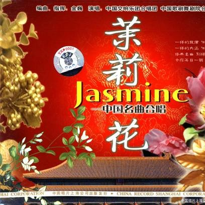 在那遥远的地方 (青海民歌)封面