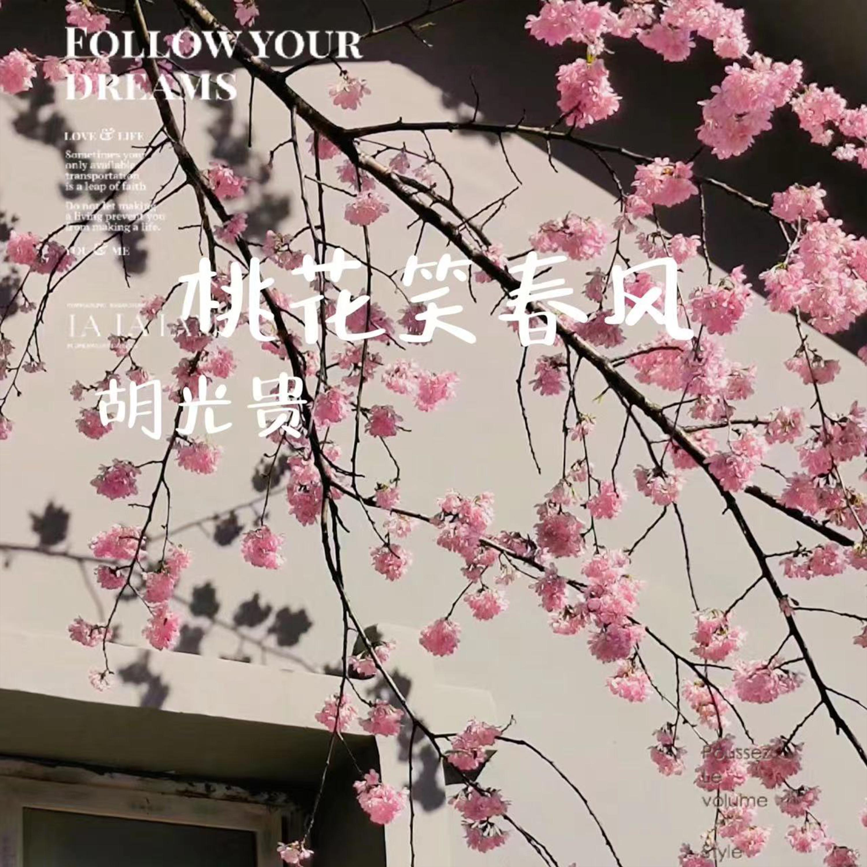 桃花笑春风封面