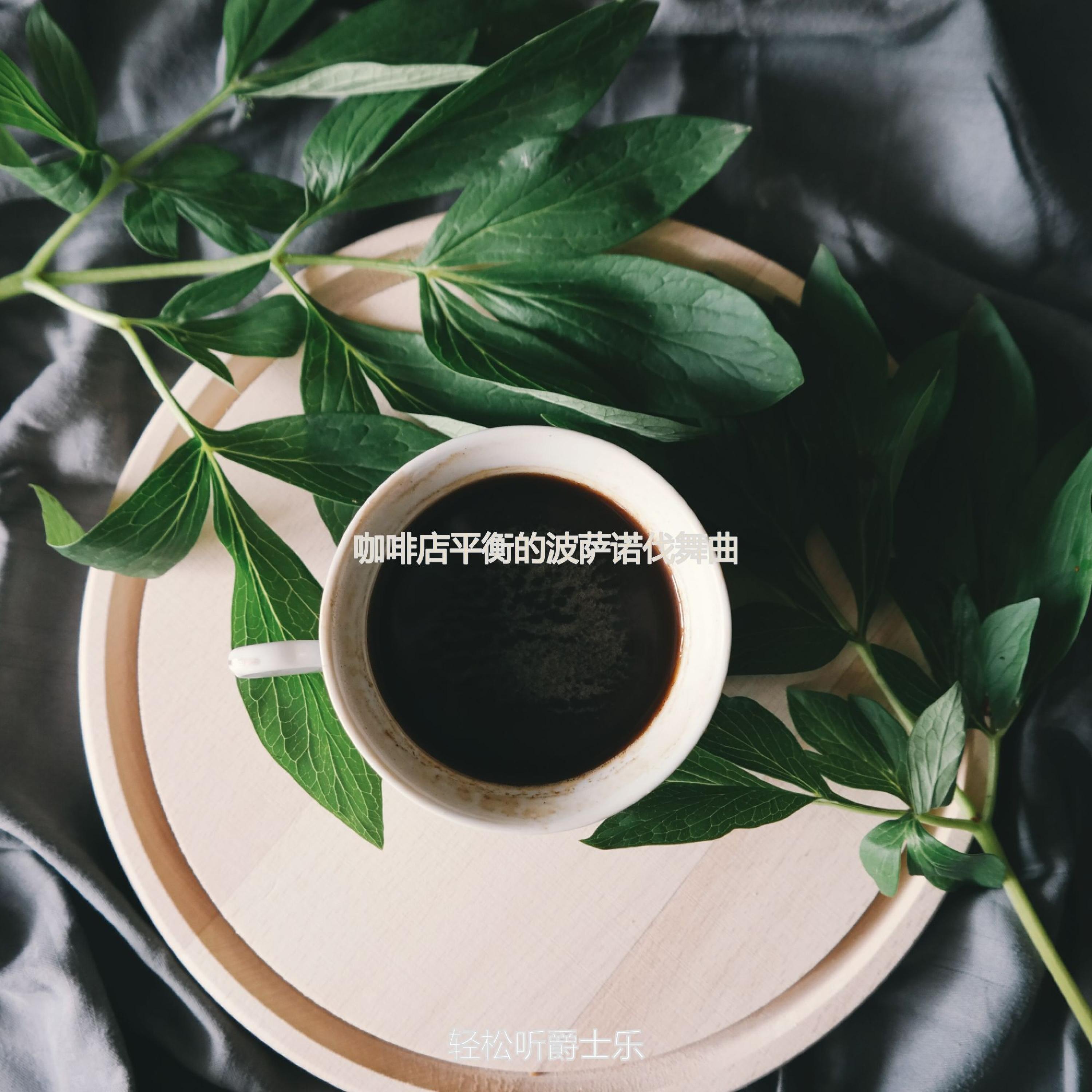 茶馆忧郁的波萨诺伐舞曲封面