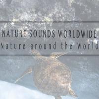 Nature Sounds Worldwide