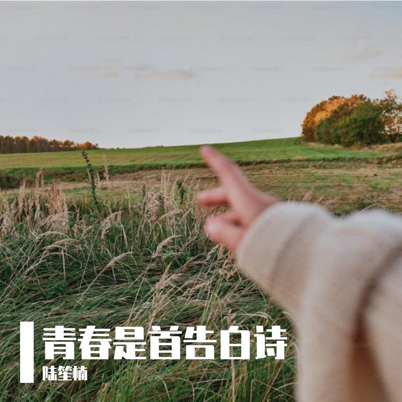摇滚记 - 陆笙楠封面