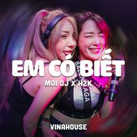 Em Có Biết Ver 2 (Vinahouse)