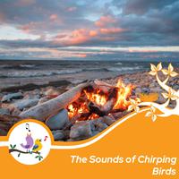 The Sounds of Chirping Birds