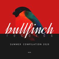 Bullfinch Summer 2020 Compilation