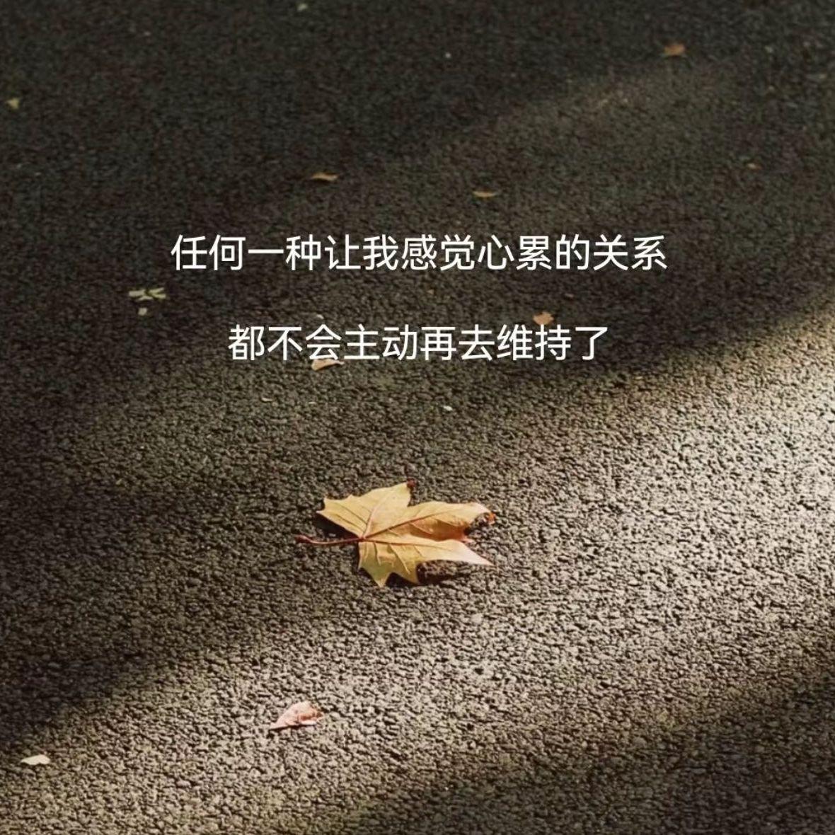 丫头封面