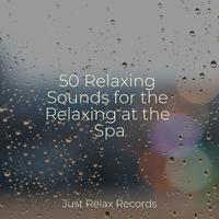 50 Relaxing Sounds for the Relaxing at the Spa