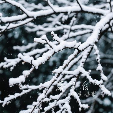 落了白（Cover 蒋雪儿Snow.J）封面