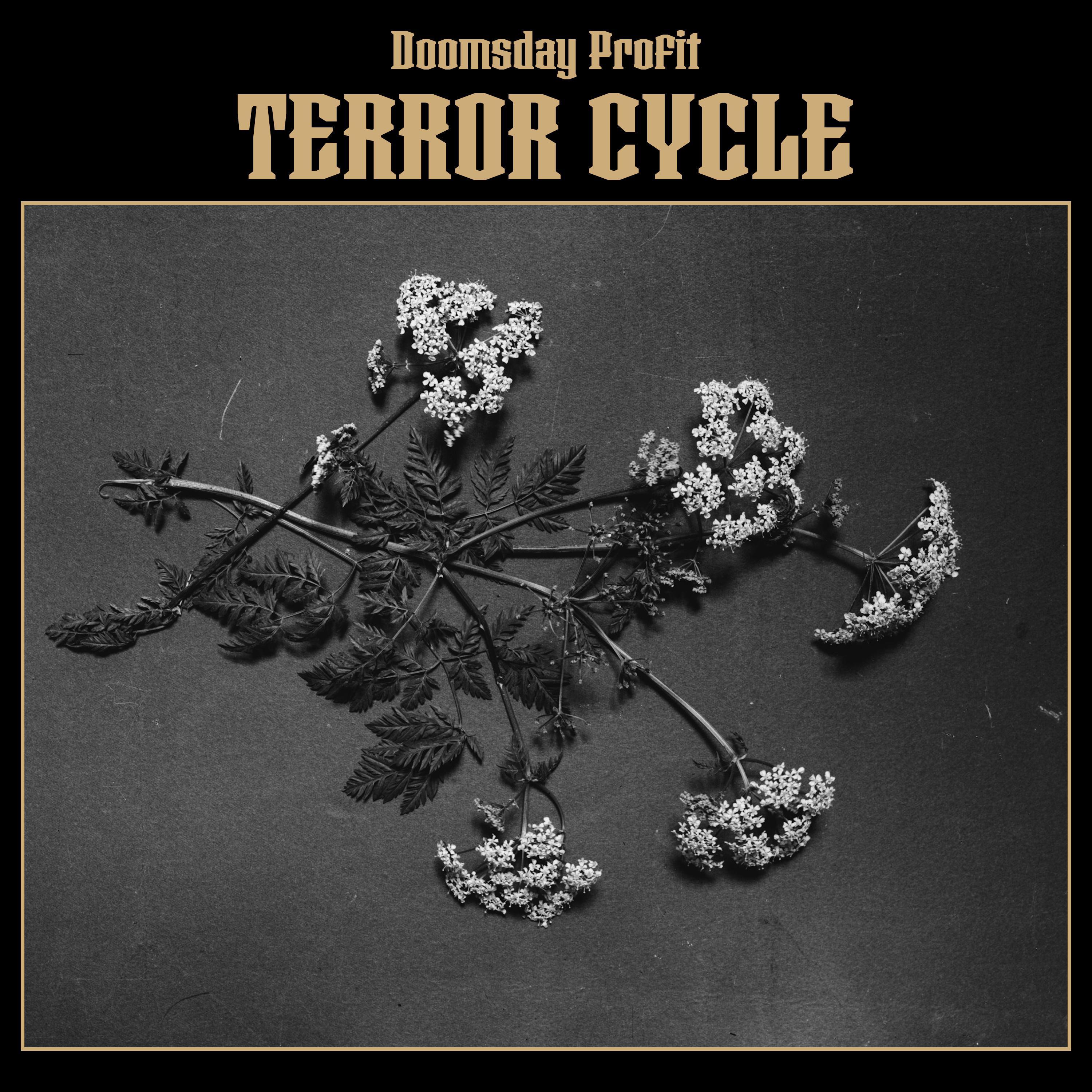 Terror Cycle