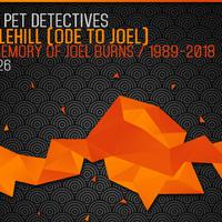 The Pet Detectives