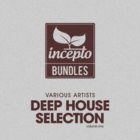 Deep House Selection