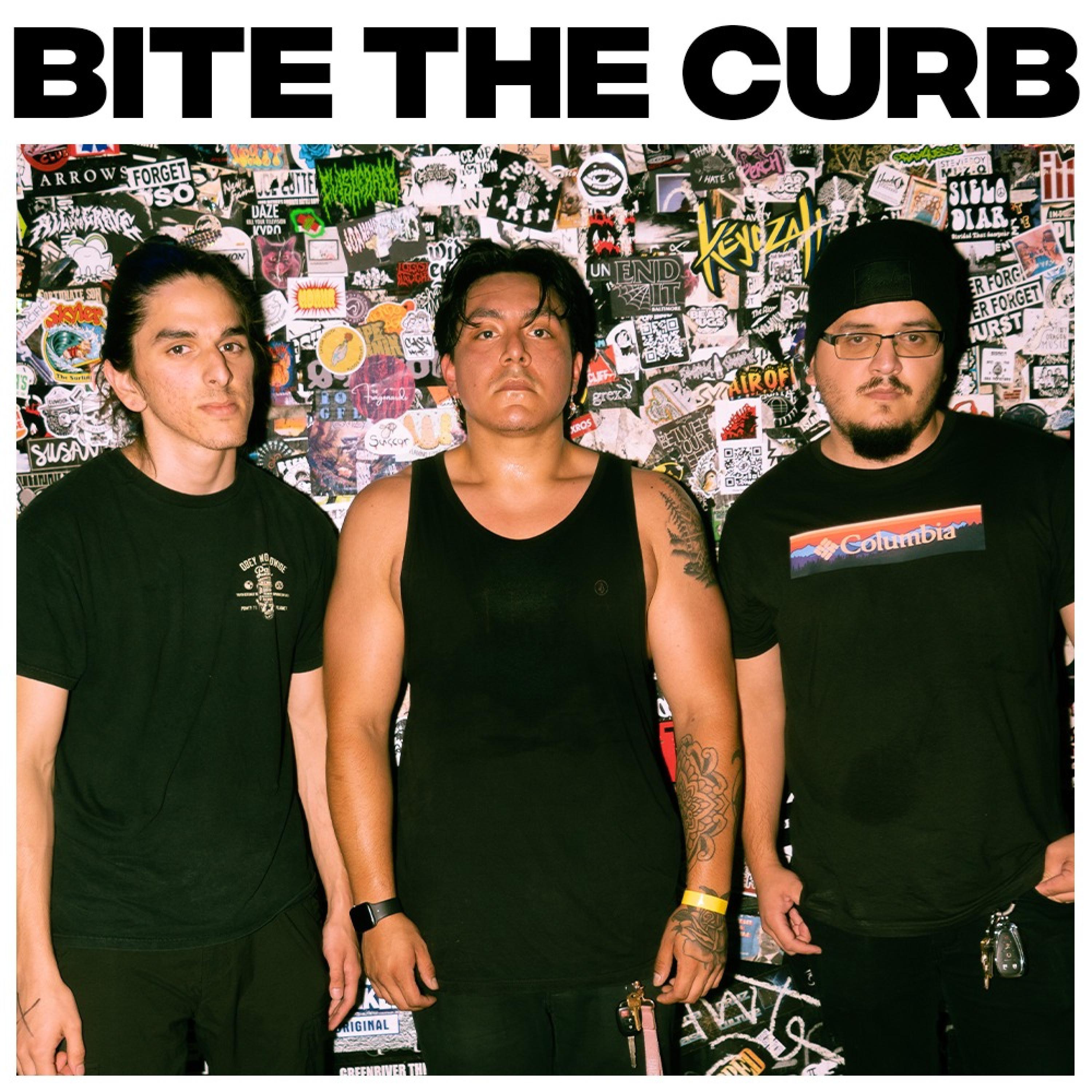 BITE THE CURB (PROMO) Terra 专辑 网易云音乐