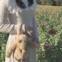 一颗小甜