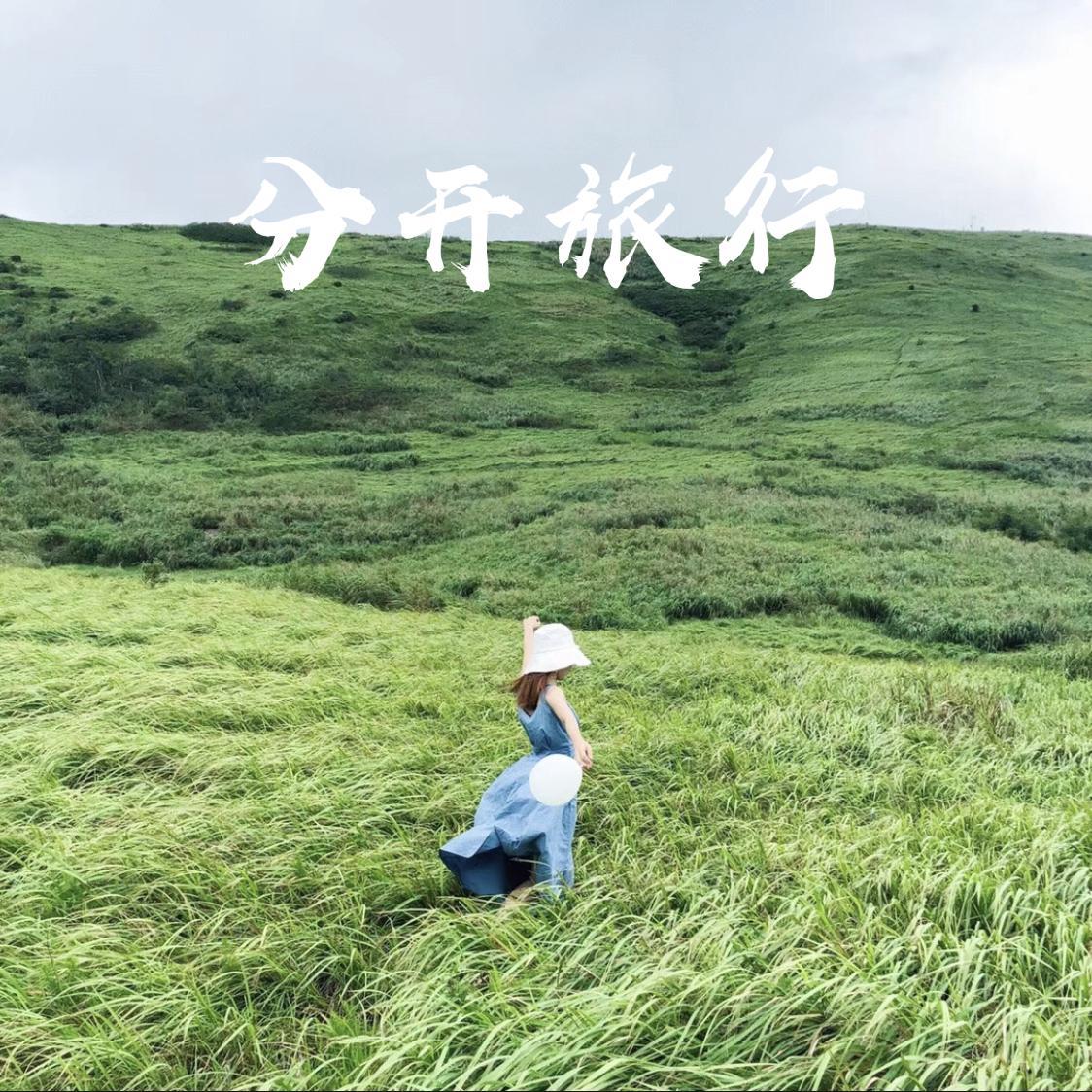 分开旅行封面