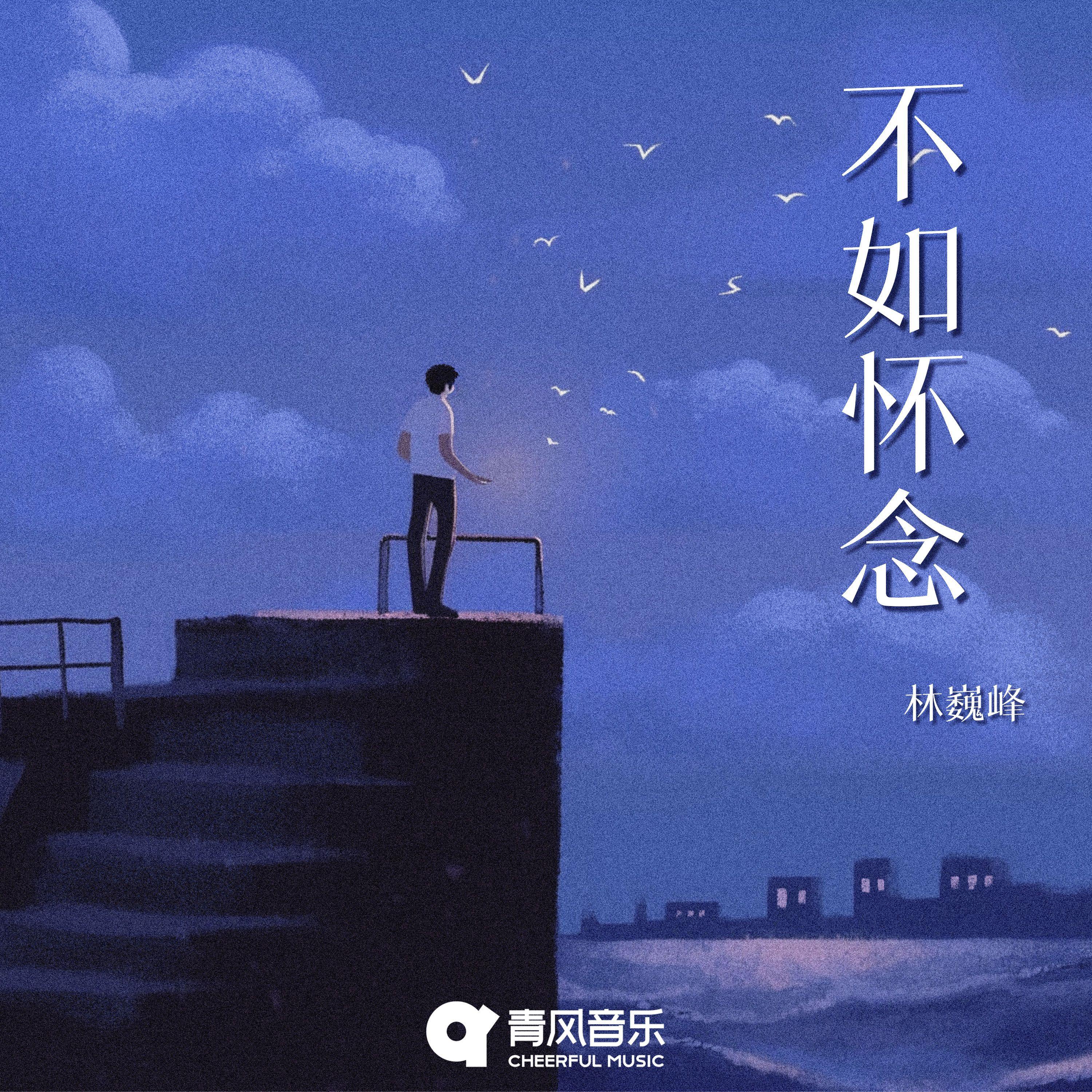 不如怀念 - 林巍峰封面
