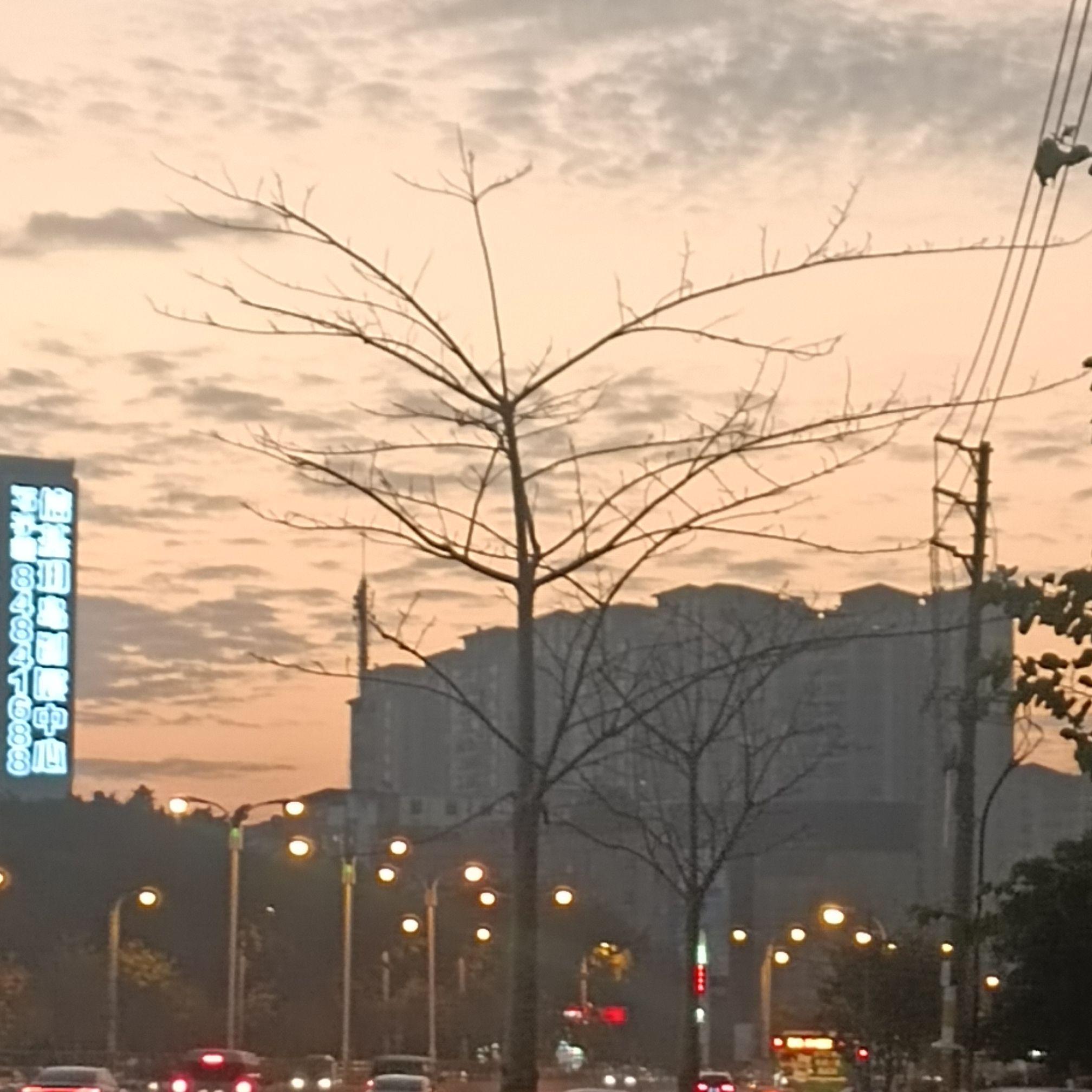 视频提取音频-爱的回归线1738849910230封面