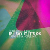 If I Say It It's Ok (Trumpetta House Mix)