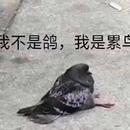 慕颖星语