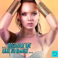 ...Because We Like to Dance Vol.2