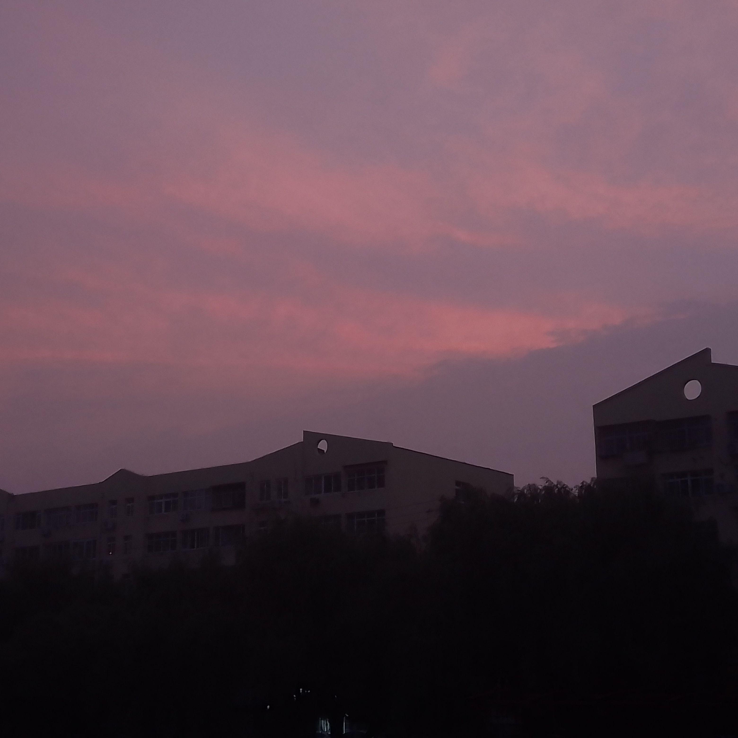 粉色海洋封面