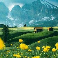 阿康心态超好资料,阿康心态超好最新歌曲,阿康心态超好MV视频,阿康心态超好音乐专辑,阿康心态超好好听的歌