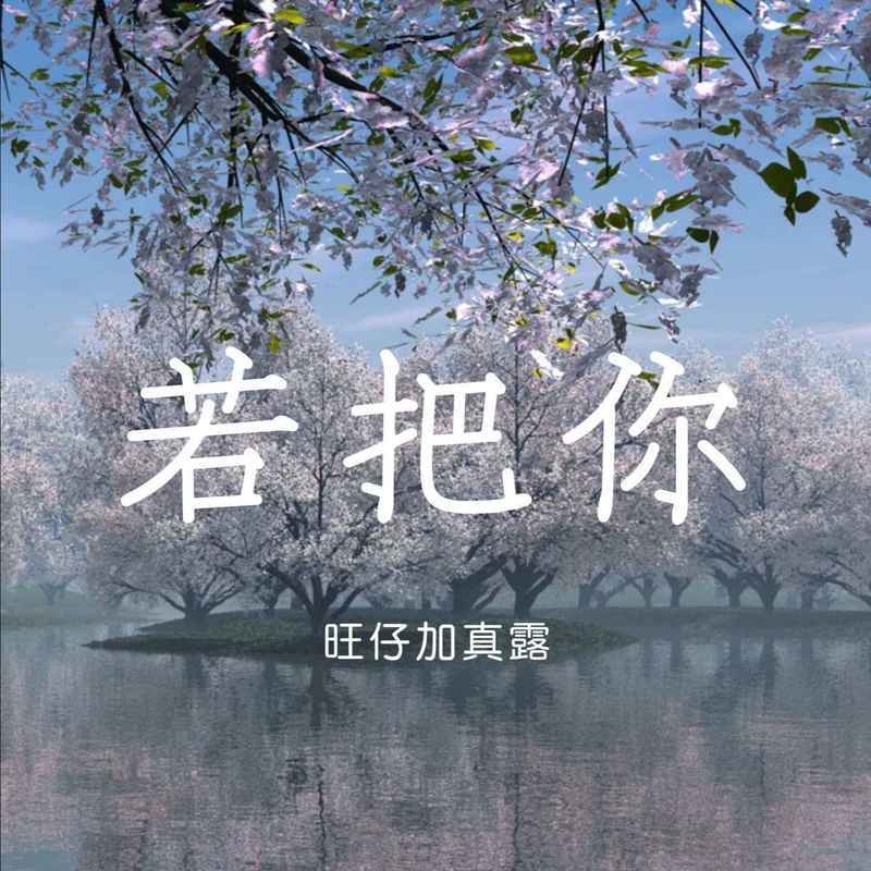 若把你 (DJ慢摇版)封面