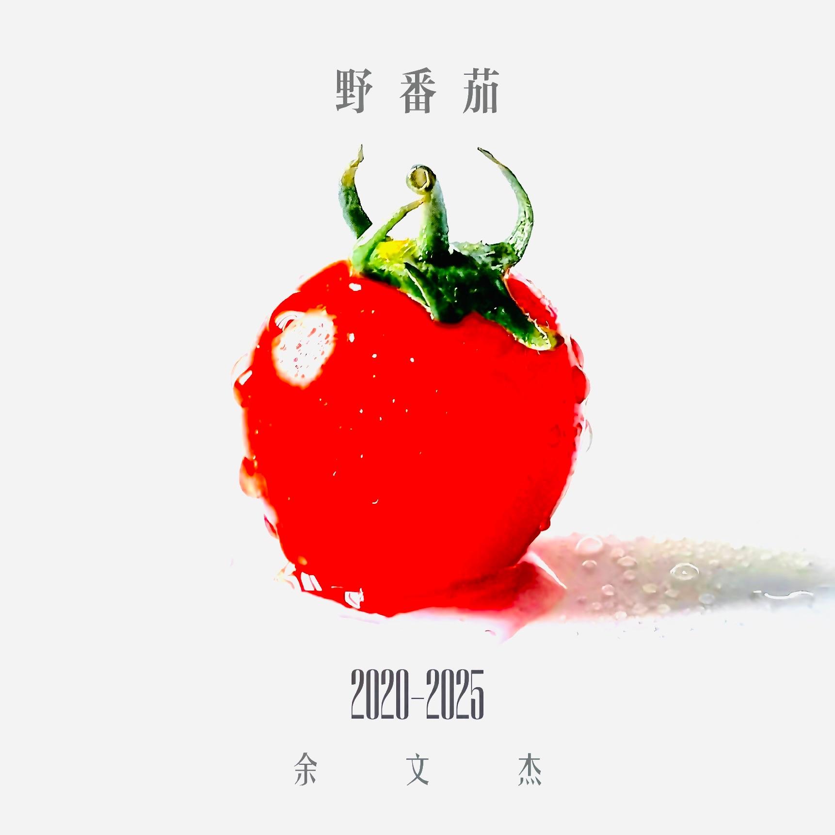 最初的地方封面