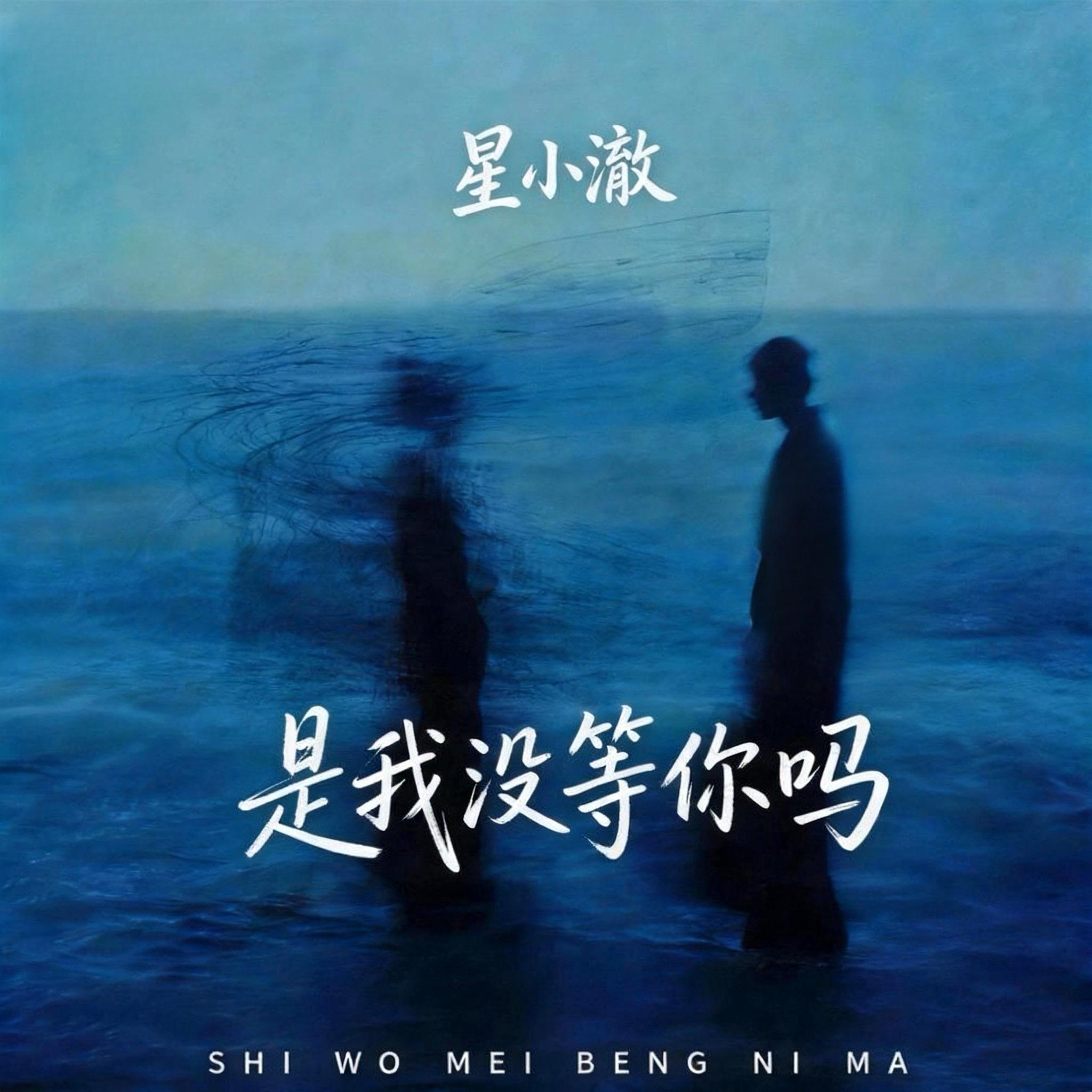 是我没等你吗(伴奏)封面