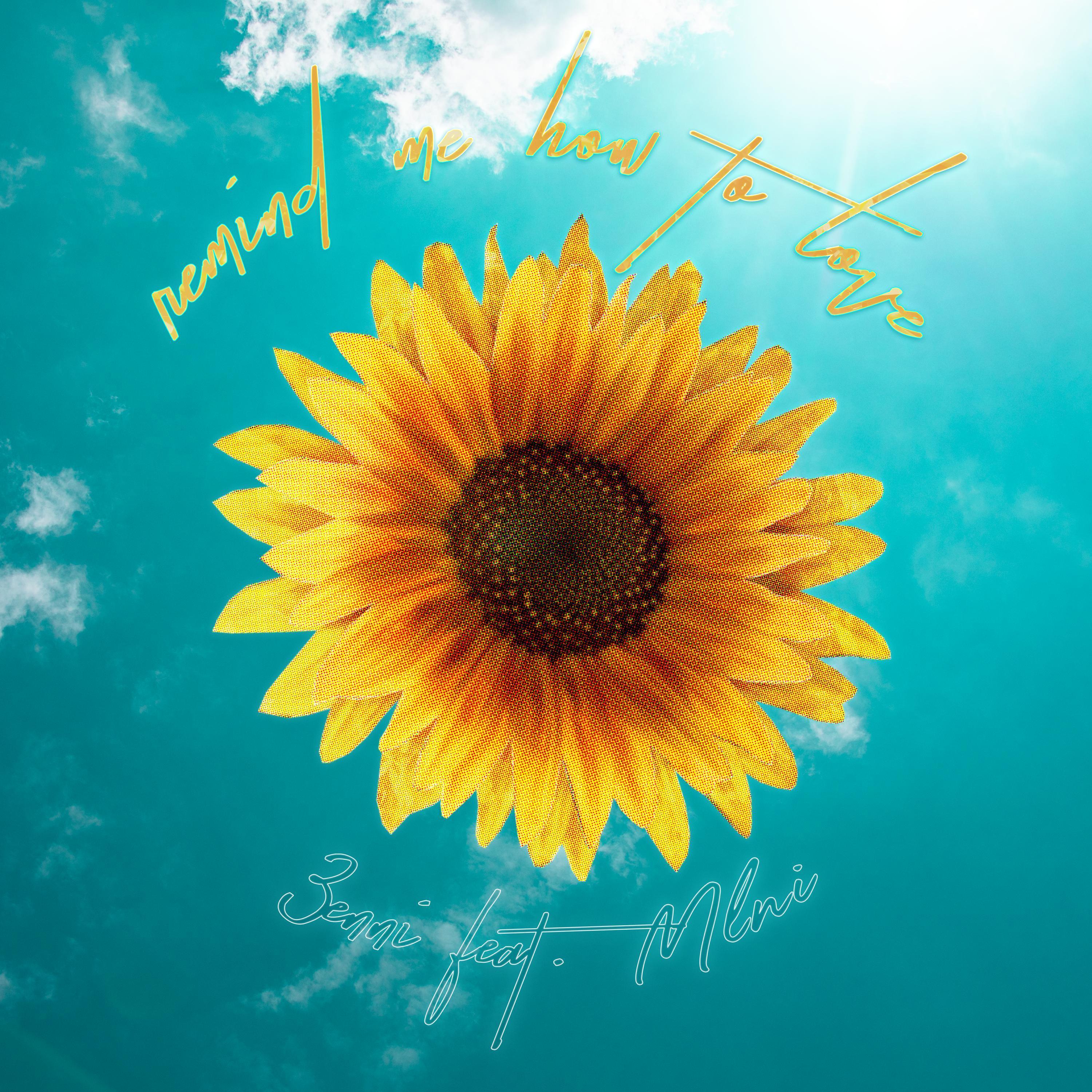 Remind Me How to Love (feat. Mlni)