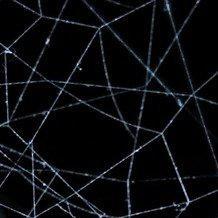 她画的饼就像五点半的浪，早晚退潮