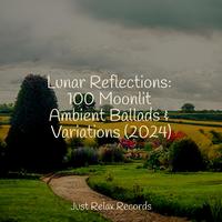 Lunar Reflections: 100 Moonlit Ambient Ballads & Variations (2024)