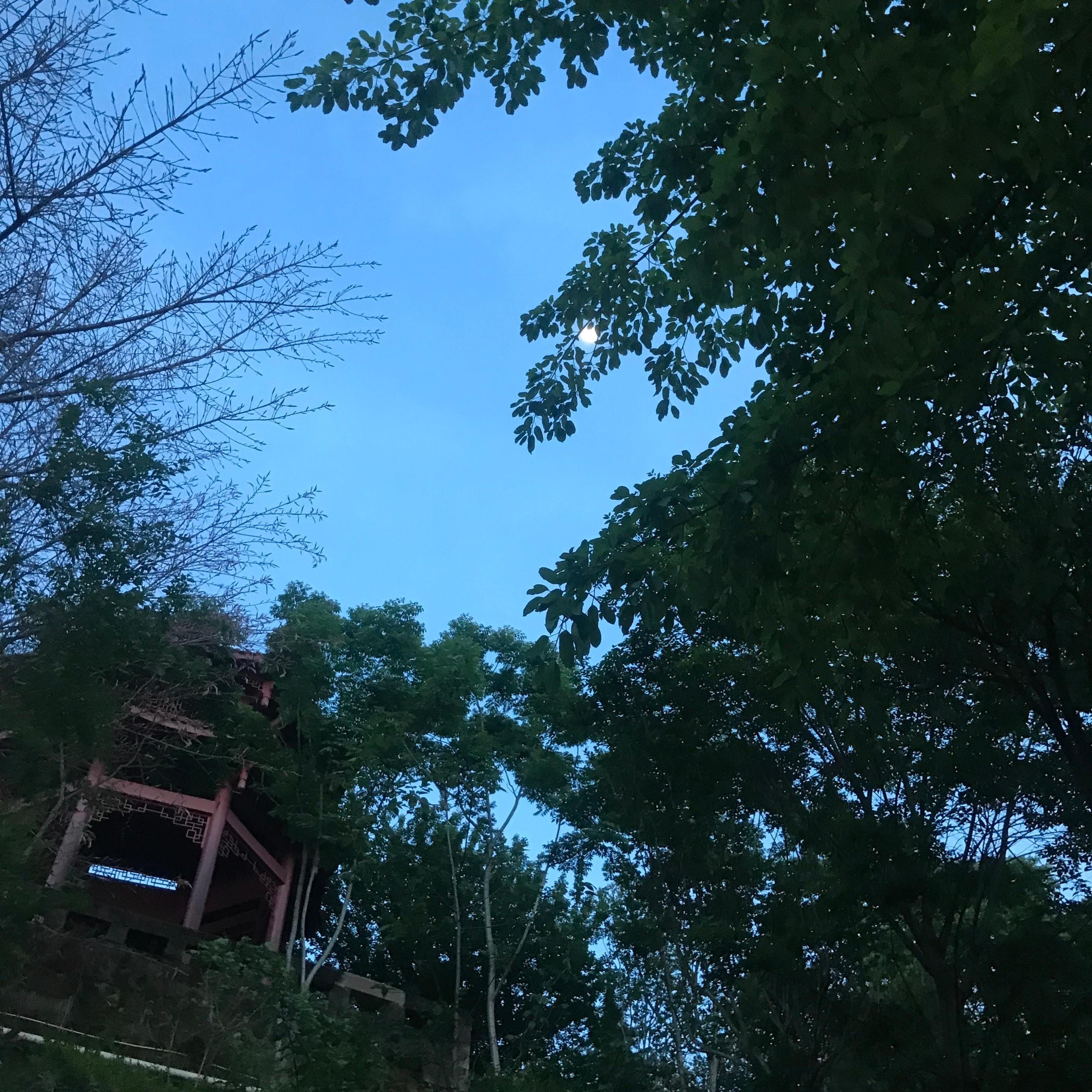 平行时空的告白封面