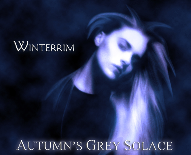 Autumn's Grey Solace